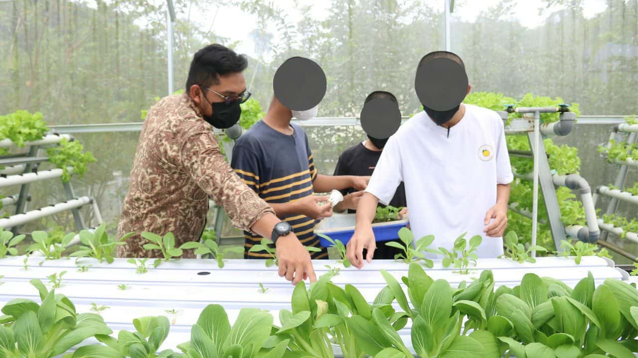 KLIEN ADOLESCENT BELAJAR CARA HIDROPONIK KLIEN ADOLESCENT BELAJAR CARA HIDROPONIK