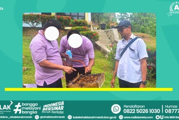 VOKASIONAL PETERNAKAN LEBAH KELULUT VOKASIONAL PETERNAKAN LEBAH KELULUT