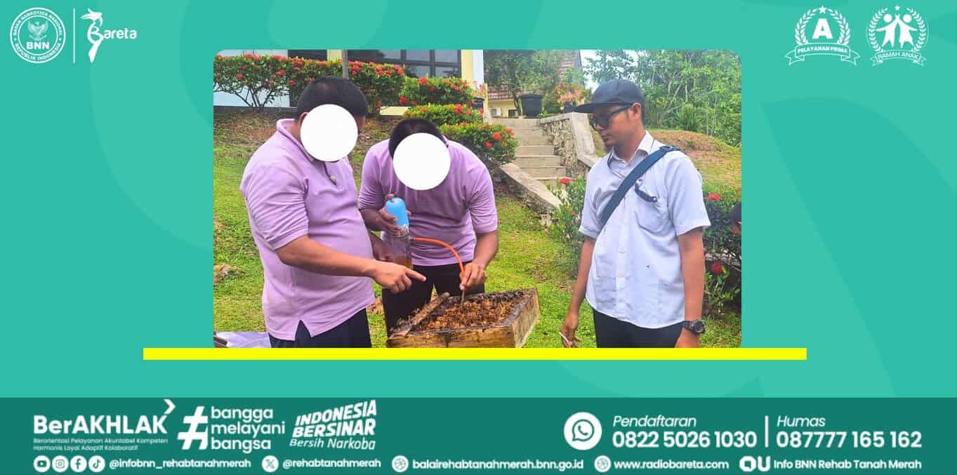 VOKASIONAL PETERNAKAN LEBAH KELULUT VOKASIONAL PETERNAKAN LEBAH KELULUT